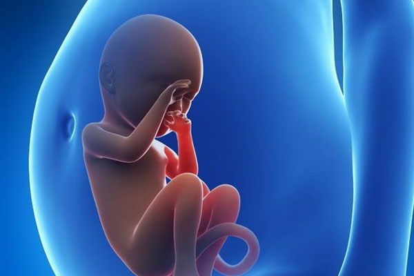 胎动看男女的秘诀分享，掐准月份是第一步