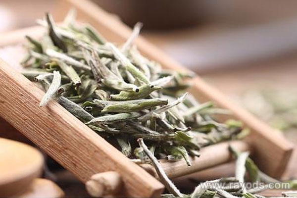 孕妈妈喝白茶好不好？白茶的功效详细介绍