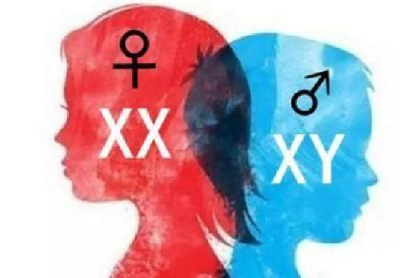 看大宝耳朵知晓二宝性别?