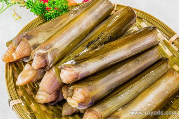 孕妇可以吃蛏子吗？蛏子有什么功效？