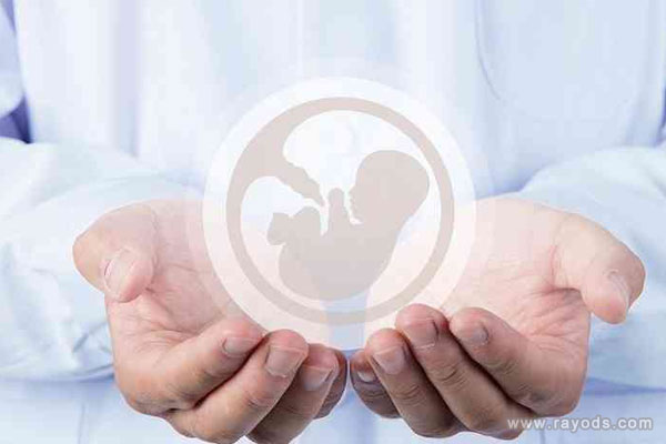 女性容易生男孩儿哪些特征？都在这篇文章里