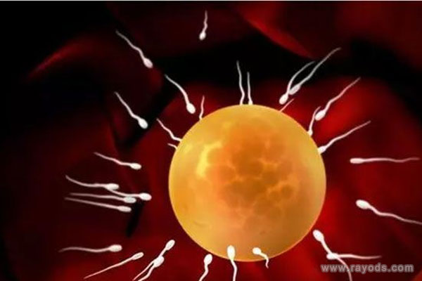 哪些因素会影响到卵子的存活时间？