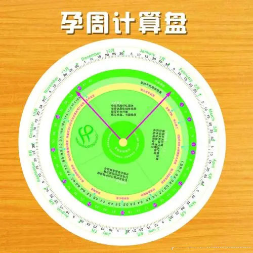 孕期如何计算？5种测出孕周和孕产期很简单