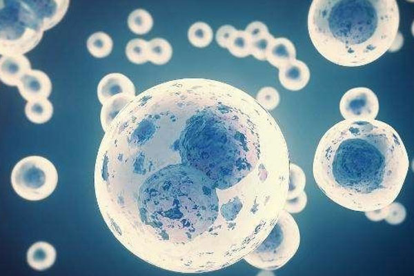 排卵之前同房对生儿子很有帮助，事实真的如此吗？