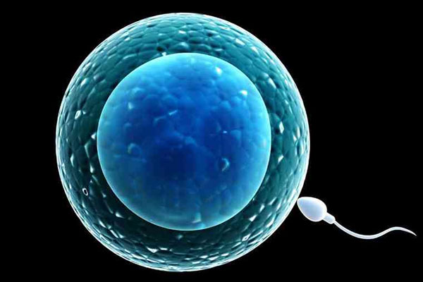 怀孕通常几天会有反应？怀孕最早期的微妙感觉