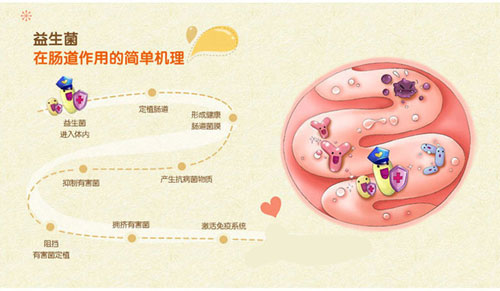 中国益生菌十大排行榜，益生菌哪个牌子好