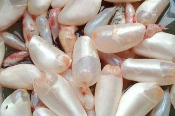 怀孕的人可以吃鱼鳔吗？哪些人不适合吃鱼鳔？