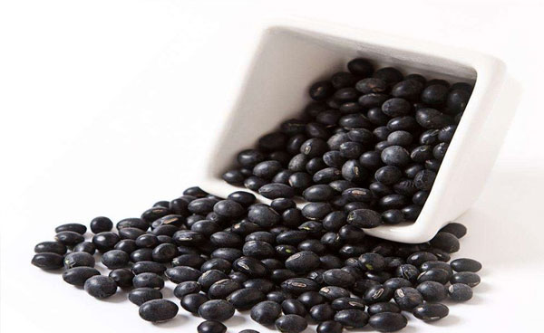 备孕不可盲目吃黑豆，吃黑豆可助孕也可难受孕
