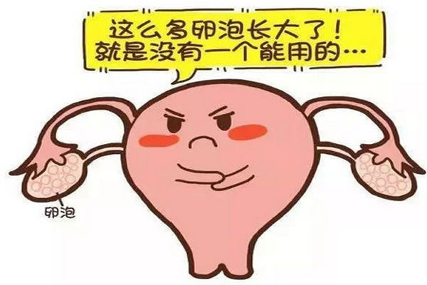 卵泡发育不好如何备孕？4个妙招助你好孕！