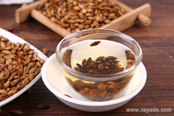 孕妇能不能喝大麦茶？大麦茶的制作步骤