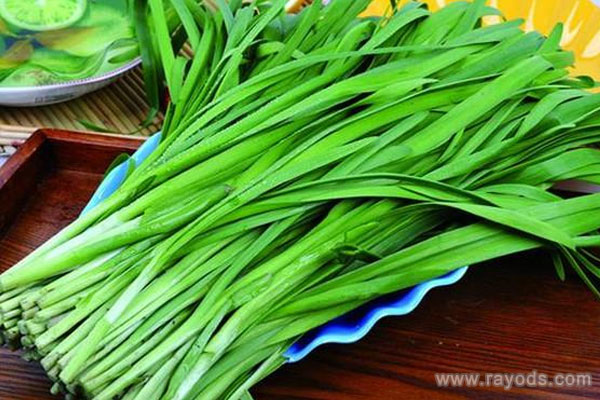 孕妇能不能吃韭菜？吃韭菜的方式有哪些