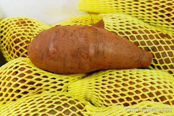 什么水果含糖量最低 十大低糖水果排行榜