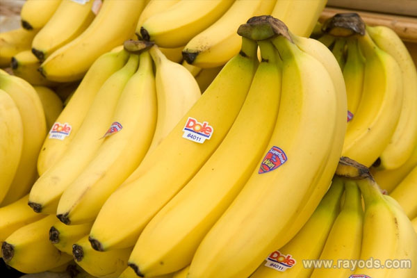 孕妇能不能吃香蕉？孕妇吃香蕉注意事项