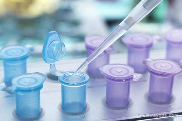 广东省妇幼第三代试管成功率有多大？