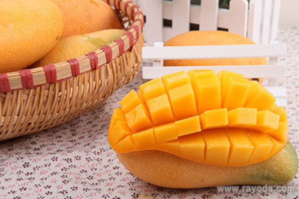 孕妇可以吃芒果吗 孕妇吃芒果过敏怎么办