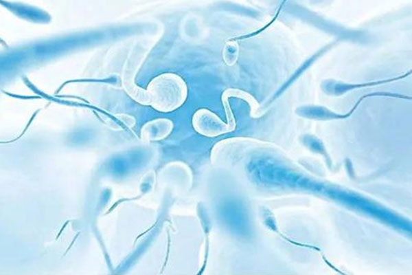 如何推算排卵日的方法？排卵期生男孩的技巧