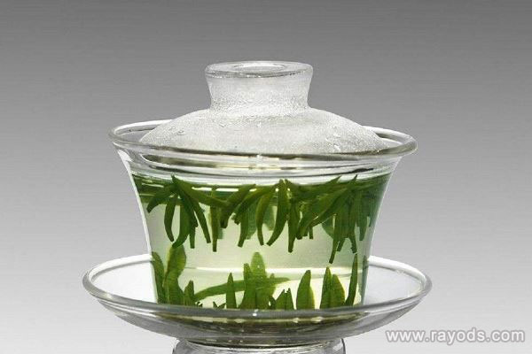 孕妇能不能喝绿茶？孕中期喝绿茶3大注意事项