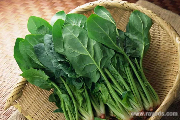 孕妇能不能吃菠菜？这款菠菜鸡蛋汤非常合适