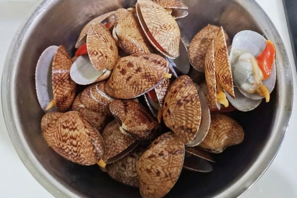 怀孕的人能吃芒果贝吗？芒果贝有哪些做法？