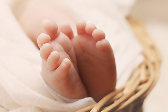 备孕时常吃这几样食物能让卵泡长得又大又好！更利于受孕