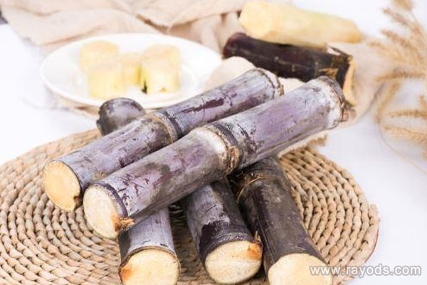 孕妇能不能吃甘蔗？吃甘蔗的方式有哪些