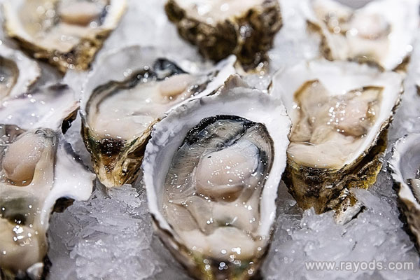 孕妇能不能吃生蚝？吃生蚝要注意什么？