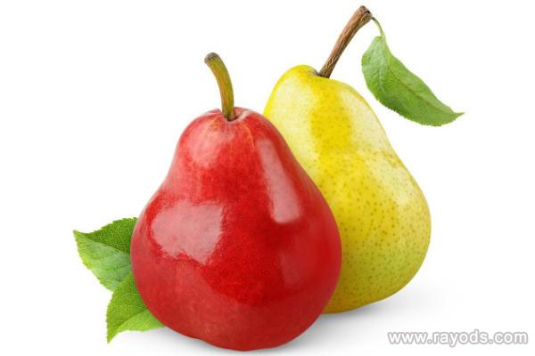 梨子热量高吗?减肥期间可以吃梨子吗?一天吃多少合适