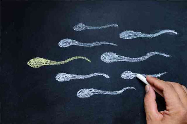 畸形精子症影响生育别担心，做试管就能“包办婚姻”