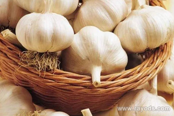 怀孕期间可以不可以吃大蒜？孕妇吃大蒜对胎儿有影响吗？