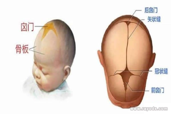 什么是囟门？宝宝囟门在哪个位置示意图
