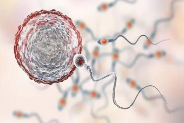 想生男孩要禁欲多久精子质量才会更好？