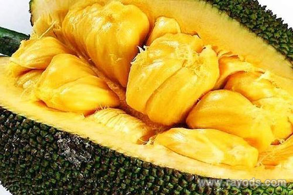 孕妇能不能吃菠萝蜜？吃菠萝蜜有哪些注意事项？