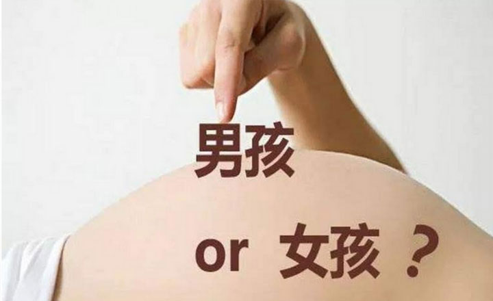 孕12周nt暗示男女？来自网友们的经验分享