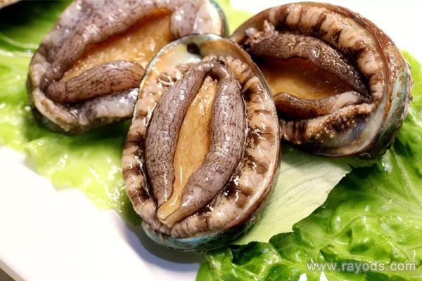 孕妇可以吃鲍鱼吗？鲍鱼的营养价值高吗？