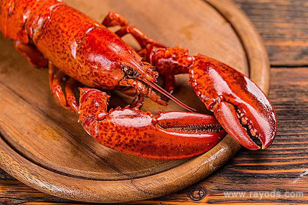 怀孕的人可以吃龙虾吗？龙虾怎么吃最好吃？