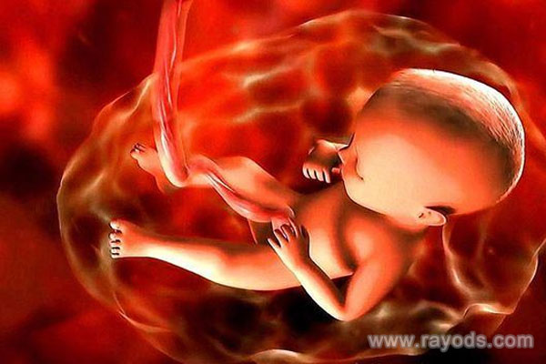 胎盘成熟过快饮食要注意，这三类食物不宜食用