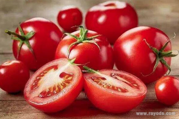 孕妇梦见西红柿是什么意思有什么预兆