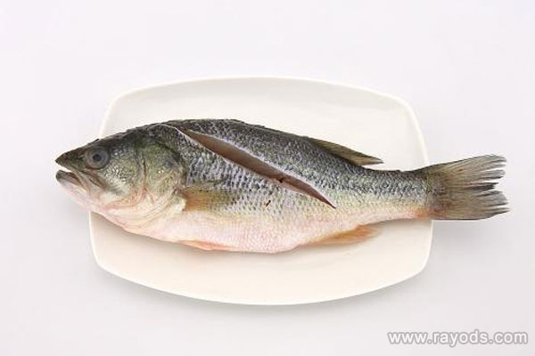 怀孕期间可以吃鲈鱼吗？鲈鱼怎么做好？