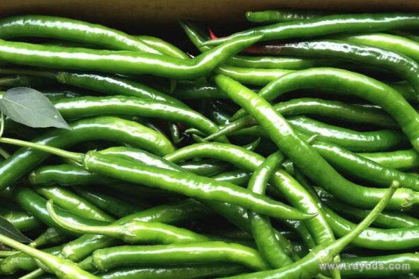 孕妇梦见青辣椒是什么意思有什么预兆