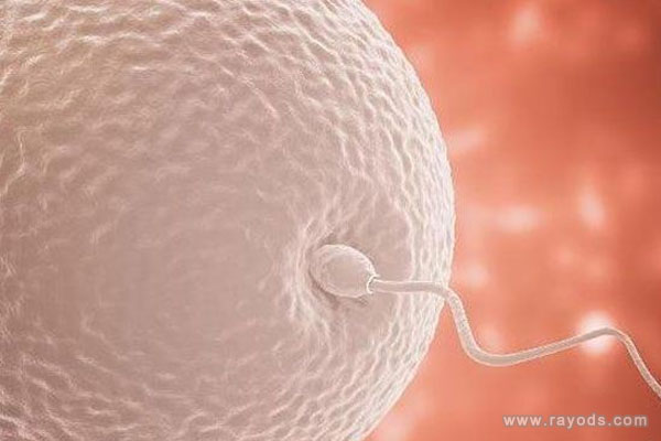 卵子最长能存活多久？延长卵子存活时间的方法有哪些