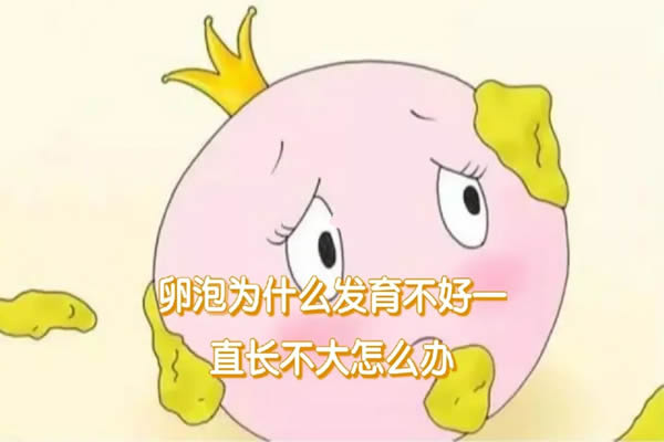 卵泡发育不好是什么原因，四个原因备孕妈妈要了解