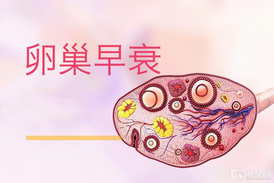 卵巢早衰还能有机会怀孕吗？几率较低，建议试管助孕