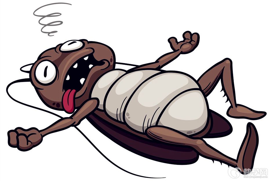 蟑螂是怎么出现在家里的？家里有蟑螂的原因解读