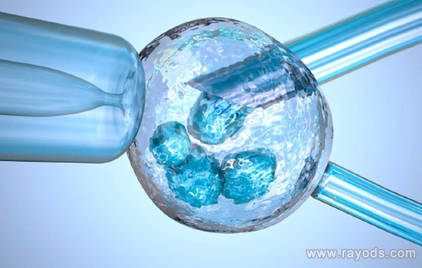 莫斯科阿尔特医院有哪些试管辅助生殖技术？