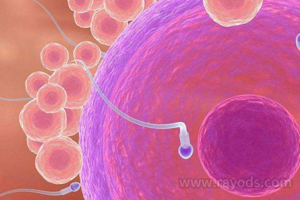 没有结婚证如何做试管婴儿？车到山前必有路