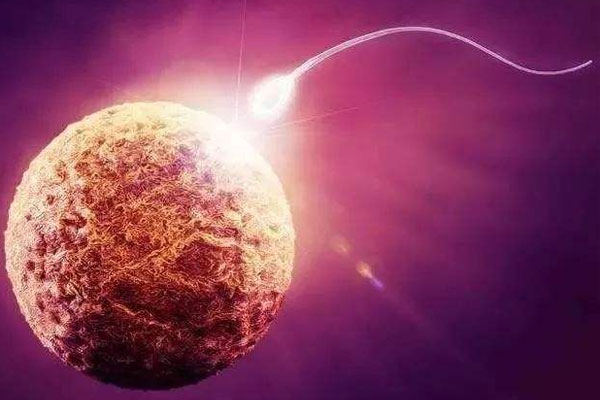 保定姐妹去俄罗斯试管前期的准备工作有哪些？