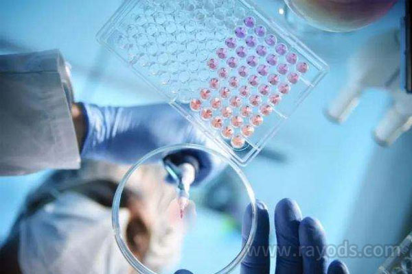 俄罗斯试管婴儿有几种方案？原来这么多！