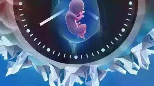 冻卵实录：收拾好一颗破碎的心静待明天的艳阳高照