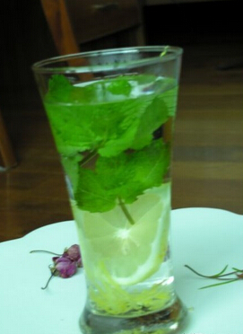 孕妇禁忌 准备怀孕的女性不宜饮用薄荷茶