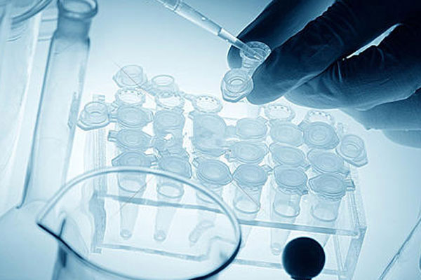 淮安姐妹知道俄罗斯试管助孕成功率为什么高？原因是它！